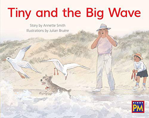 Cover for Annette Smith · Tiny and the Big Wave : Bookroom Package Yellow Fiction Level 8 Grade 1 (Paperback Book) (2019)