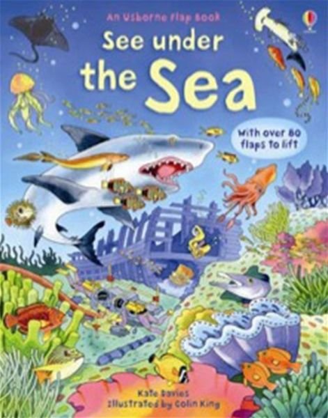 See Under the Sea - See Inside - Kate Davies - Livros - Usborne Publishing Ltd - 9780746096383 - 28 de novembro de 2008
