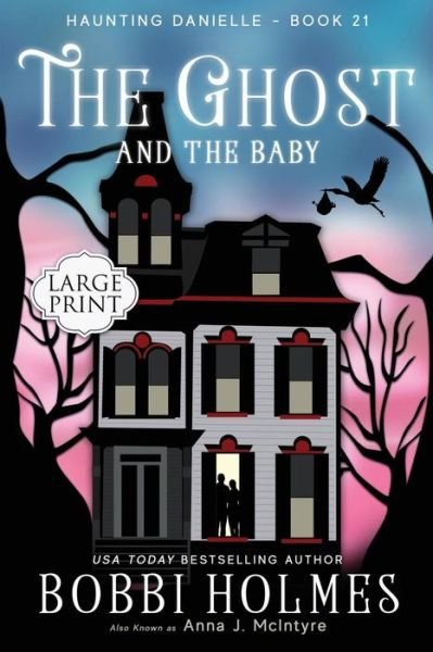 Cover for Anna J McIntyre · The Ghost and the Baby (Paperback Book) (2019)