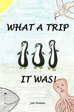 Cover for John Brookes · What A Trip It Was (Paperback Book) (2015)