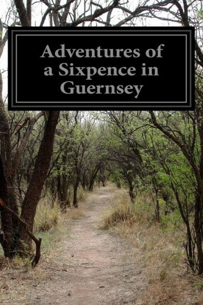 Cover for A Native · Adventures of a Sixpence in Guernsey (Paperback Book) (2014)