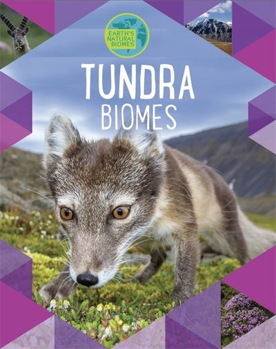 Earth's Natural Biomes: Tundra - Earth's Natural Biomes - Louise Spilsbury - Libros - Hachette Children's Group - 9781526301383 - 10 de octubre de 2019