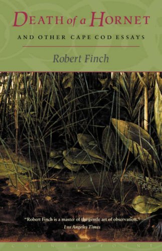 Death Of A Hornet And Other Cape Cod Essays - Robert Finch - Books - Counterpoint - 9781582431383 - March 23, 2001