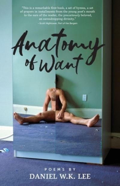 Cover for Daniel W K Lee · Anatomy of Want (Paperback Book) (2019)