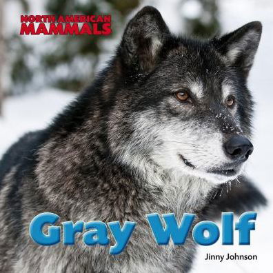 Cover for Jinny Johnson · Gray Wolf (North American Mammals) (Innbunden bok) (2014)