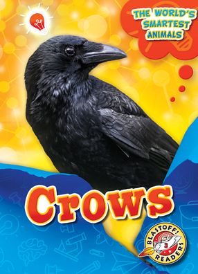 Crows - Joanne Mattern - Books - Blastoff! Readers - 9781644872383 - August 1, 2020