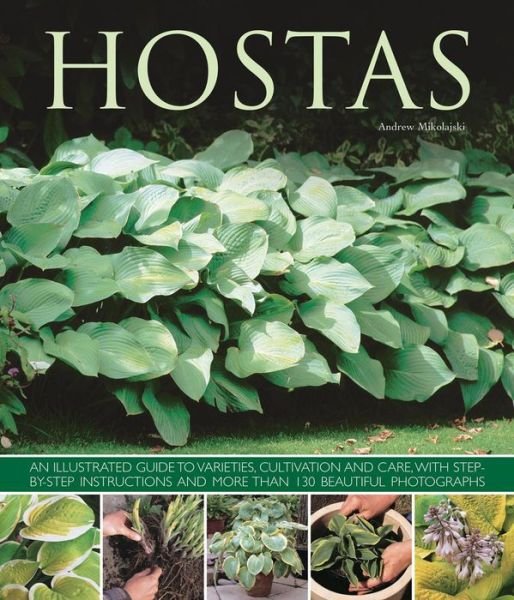 Cover for Andrew Mikolajski · Hostas: an Illustrated Guide to Varieties, Cultivation and Care, with Step-by-step Instructions and More Than 130 Beautiful Photographs (Paperback Book) (2013)