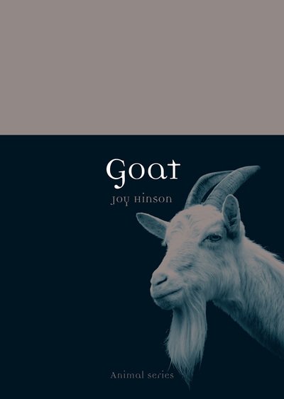 Cover for Joy Hinson · Goat - Animal (Paperback Book) (2014)