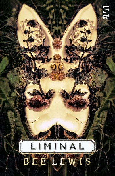 Cover for Bee Lewis · Liminal - Salt Modern Fiction (Paperback Bog) (2018)