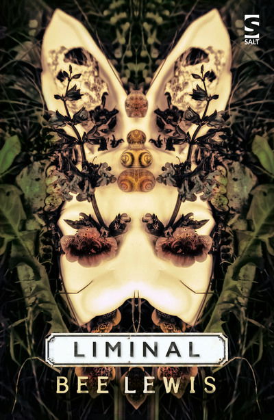 Cover for Bee Lewis · Liminal - Salt Modern Fiction (Pocketbok) (2018)