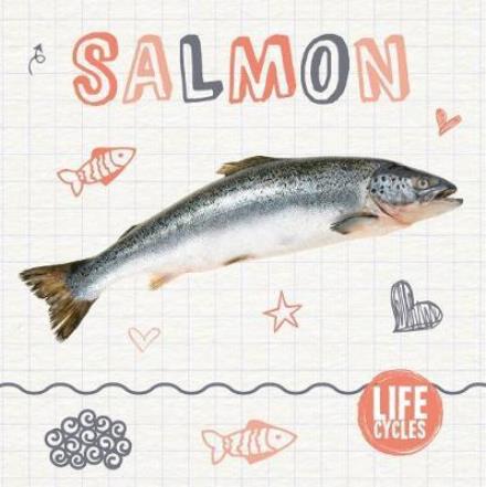 Cover for Holly Duhig · Salmon - Life Cycles (Hardcover Book) (2018)