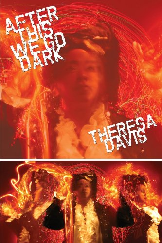 Cover for Theresa Davis · After This We Go Dark (Paperback Book) (2013)