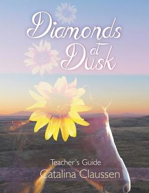 Cover for Catalina Claussen · Diamonds at Dusk Teacher's Guide (Paperback Book) (2016)