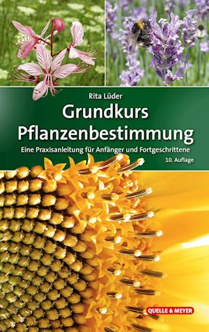 Grundkurs Pflanzenbestimmung - Rita Lüder - Książki - Quelle & Meyer - 9783494019383 - 7 lipca 2022