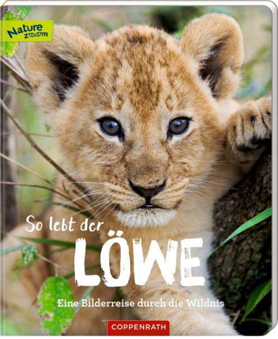 So lebt der Löwe - Sandra Noa - Books - Coppenrath F - 9783649635383 - June 24, 2020