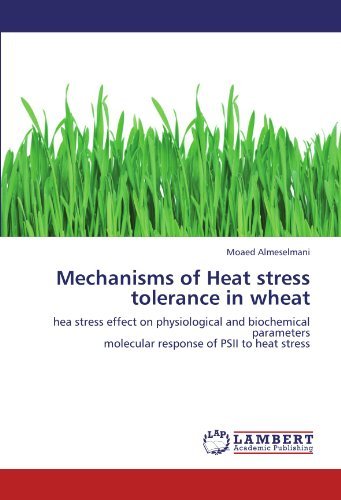 Cover for Moaed Almeselmani · Mechanisms of Heat Stress Tolerance in Wheat: Hea Stress Effect on Physiological and Biochemical Parameters  Molecular Response of Psii to Heat Stress (Paperback Bog) (2012)