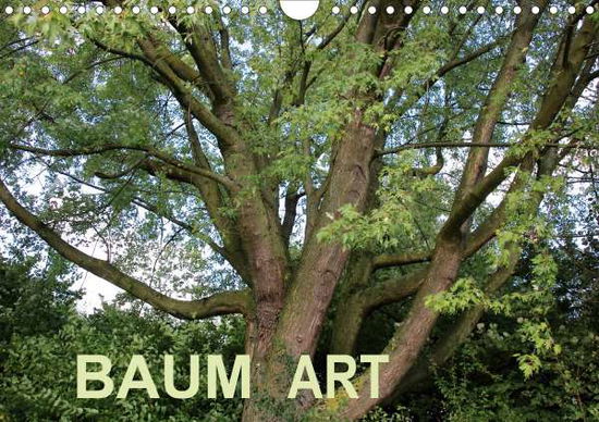 Cover for Ganz · Baum Art (Wandkalender 2020 DIN A4 (Book)