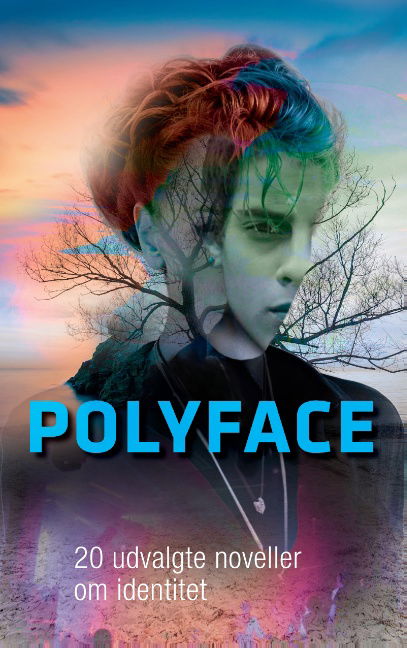 Books on Demand · Polyface (Paperback Bog) [1. udgave] (2015)