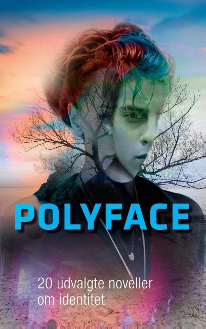 Cover for Books on Demand · Polyface (Paperback Book) [1. Painos] (2015)