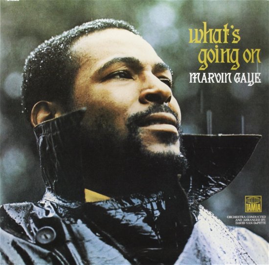 Cover for Marvin Gaye · What's Going on (10&quot;) (2016)