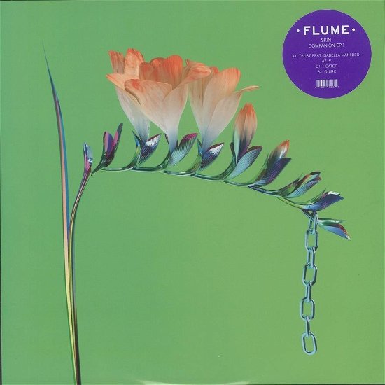Skin Companion EP I - Flume - Musik - ROCK / POP - 3614971008384 - 22. januar 2018