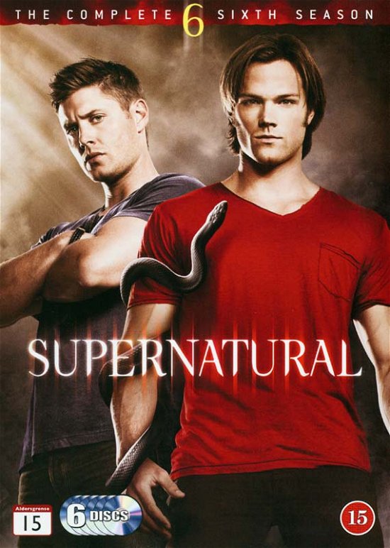 Supernatural S6 (DVD / S/n) -  - Filmes - Warner - 5051895086384 - 4 de julho de 2012