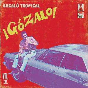 Cover for Various Artists · Gozalo! Bugalu Tropical Vol. 1 (LP) (2022)