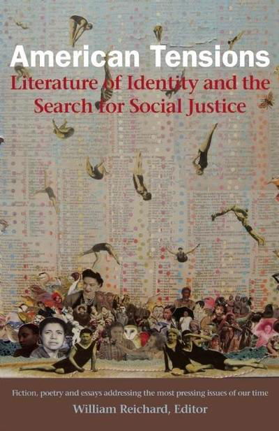 Cover for Jonis Agee · American Tensions: Literature of Identity and the Search for Social Justice (Paperback Book) (2011)