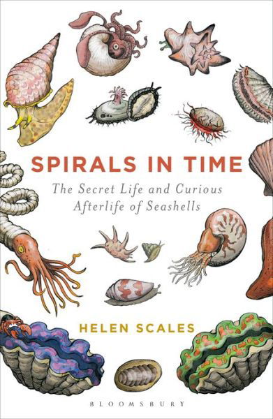 Cover for Helen Scales · Spirals in Time: The Secret Life and Curious Afterlife of Seashells (Pocketbok) (2016)