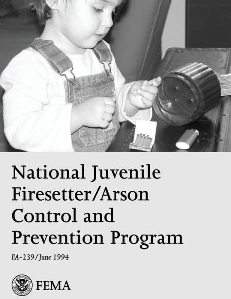 Cover for U S Department of Homeland Security · National Juvenile Firesetter / Arson Control and Prevention Program (Paperback Book) (2013)