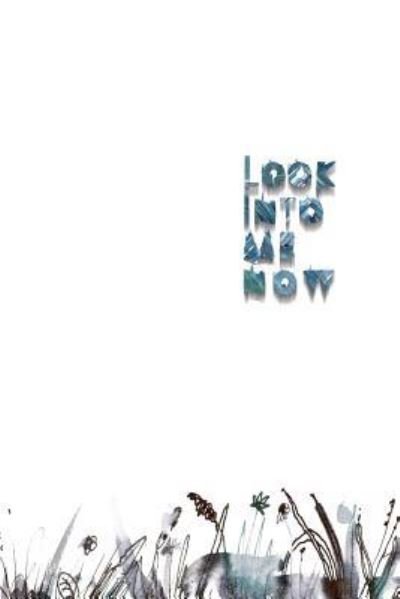 Look Into Me Now : a book of abandoned things - Kseniia Sapunkova - Bøker - CreateSpace Independent Publishing Platf - 9781514101384 - 19. april 2014