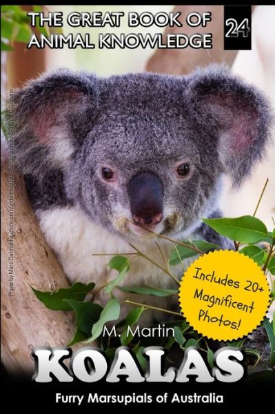 Cover for M Martin · Koalas (Paperback Book) (2015)