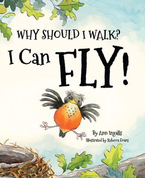 Cover for Ann Ingalls · Why Should I Walk I Can Fly (Hardcover Book) (2019)