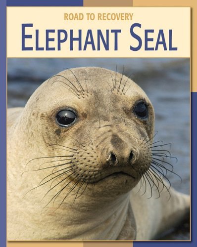 Cover for Susan Heinrichs Gray · Elephant Seal (Road to Recovery) (Hardcover Book) (2007)