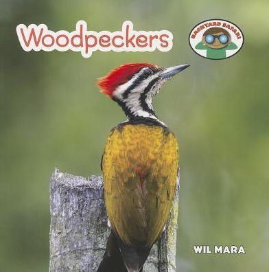 Cover for Wil Mara · Woodpeckers (Backyard Safari) (Paperback Book) (2014)