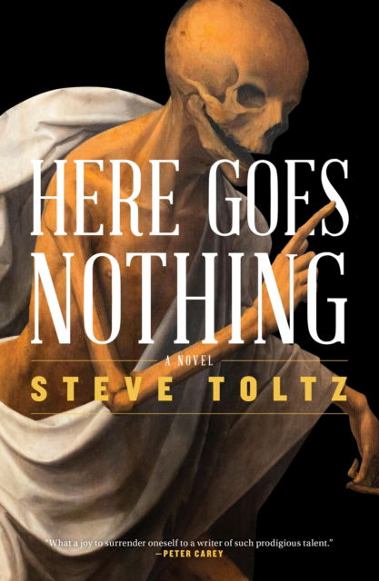 Cover for Steve Toltz · Here Goes Nothing (Paperback Book) (2023)