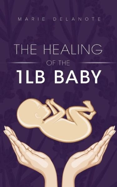 Cover for Marie Delanote · The Healing of the 1lb Baby (Paperback Book) (2014)