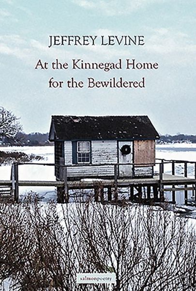 Cover for Jeffrey Levine · At the Kinnegad Home for the Bewildered (Paperback Book) (2019)