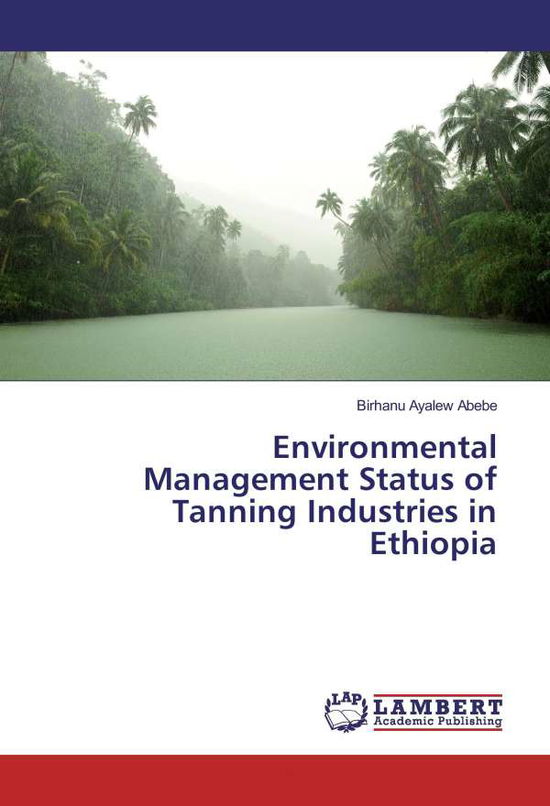 Cover for Abebe · Environmental Management Status o (Book)