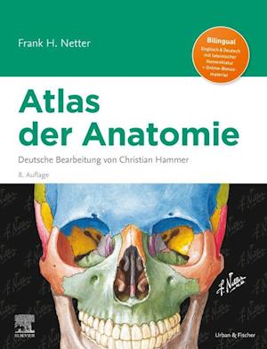 Cover for Frank H. Netter · Netter Atlas der Anatomie (Bound Book) (2025)