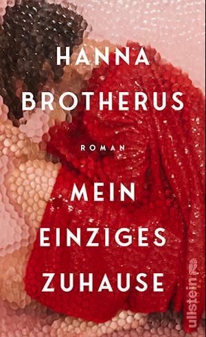 Hanna Brotherus · Mein einziges Zuhause (Bog) (2024)