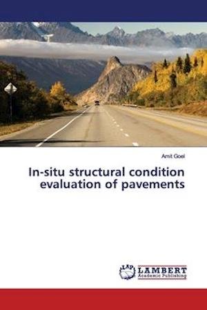 Cover for Goel · In-situ structural condition evalu (Bog) (2019)