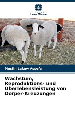 Cover for Mesfin Lakew Assefa · Wachstum, Reproduktions- und UEberlebensleistung von Dorper-Kreuzungen (Paperback Book) (2021)