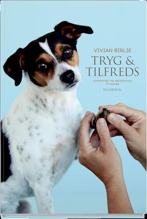 Cover for Vivian Birlie · Tryg og tilfreds (Bound Book) [1.º edición] (2018)