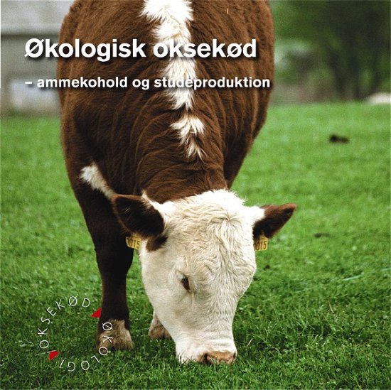 Cover for Allan Holm · Økologisk oksekød (Book) [2nd edition] (2003)