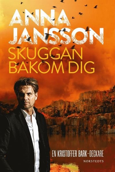 Cover for Anna Jansson · Bergslagens blå: Skuggan bakom dig (ePUB) (2020)