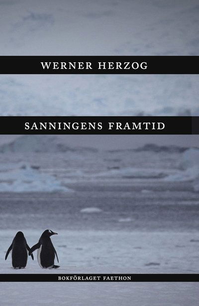 Werner Herzog · Sanningens framtid (Hardcover Book) (2025)