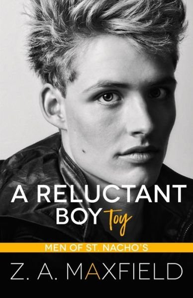 A Reluctant Boy Toy: A demisexual, bi awakening romance - Z A Maxfield - Boeken - Independently Published - 9798419873384 - 29 april 2022