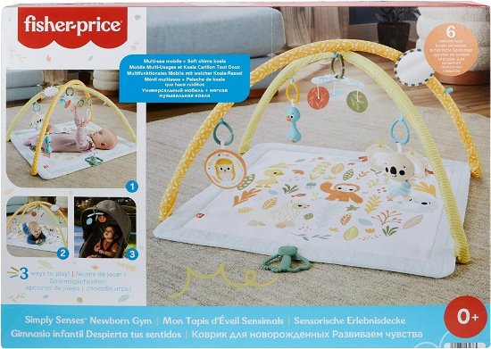 Cover for Mattel · Fisher-price® Simply Senses Newborn Gym (hrb15) (MERCH)