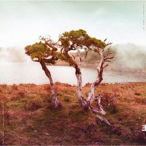 Cover for Slowly Rolling Camera · Juniper (CD) [Japan Import edition] (2018)